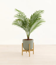 Load image into Gallery viewer, Sage Green stand:bamboo