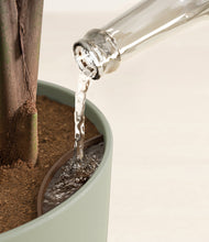 Load image into Gallery viewer, Sage Green stand:all