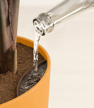 Load image into Gallery viewer, Sunset Orange stand:all