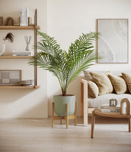 Load image into Gallery viewer, Sage Green stand:bamboo