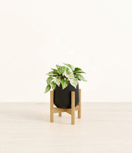 Load image into Gallery viewer, Black stand:bamboo