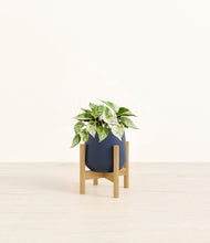 Load image into Gallery viewer, Deep Navy stand:bamboo