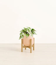 Load image into Gallery viewer, Gentle Pink stand:bamboo
