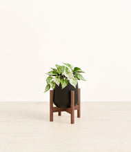 Load image into Gallery viewer, Black stand:walnut