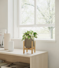 Load image into Gallery viewer, Olive stand:bamboo