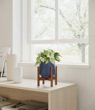 Load image into Gallery viewer, Deep Navy stand:walnut