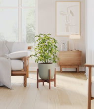Charger l'image dans la galerie, Sage Green stand:dark