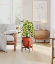 Charger l'image dans la galerie, Earth Red stand:dark