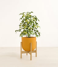 Charger l'image dans la galerie, Sunset Orange stand:light