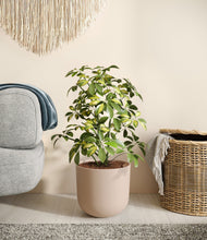 Charger l'image dans la galerie, Sandy Pink