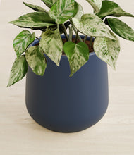 Load image into Gallery viewer, Deep Navy stand:all