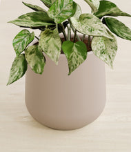 Load image into Gallery viewer, Eternal Gray stand:all