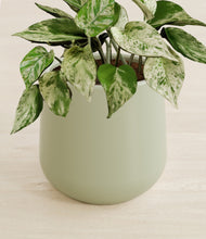 Load image into Gallery viewer, Turquoise stand:all