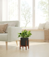Load image into Gallery viewer, Black stand:walnut
