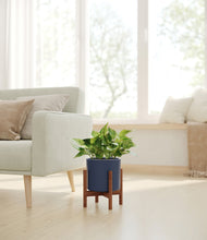 Load image into Gallery viewer, Deep Navy stand:walnut