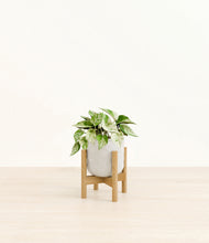 Load image into Gallery viewer, Hammered Ivory stand:bamboo
