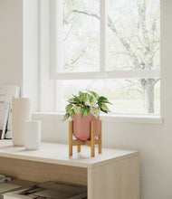 Load image into Gallery viewer, Striped Rose Pink stand:bamboo