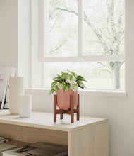Load image into Gallery viewer, Striped Rose Pink stand:walnut