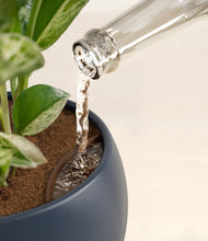 Load image into Gallery viewer, Deep Navy stand:all