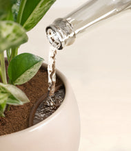 Load image into Gallery viewer, Desert Brown stand:all