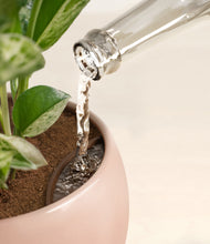 Load image into Gallery viewer, Calm Rose stand:all