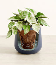 Load image into Gallery viewer, Deep Navy stand:all