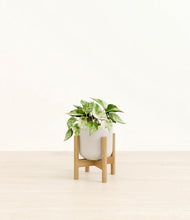 Load image into Gallery viewer, Snowdrift White stand:bamboo