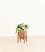 Load image into Gallery viewer, Striped Rose Pink stand:bamboo
