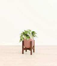 Load image into Gallery viewer, Striped Rose Pink stand:walnut
