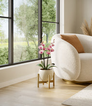 Load image into Gallery viewer, Shiny EggWhite stand:bamboo