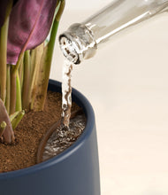 Load image into Gallery viewer, Deep Navy stand:all