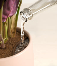 Load image into Gallery viewer, Gentle Pink stand:all