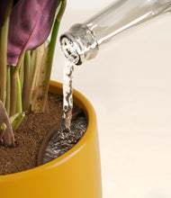 Load image into Gallery viewer, Mustard stand:all