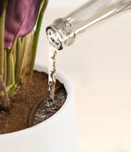 Load image into Gallery viewer, White stand:all