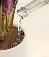 Load image into Gallery viewer, Cotton White stand:all