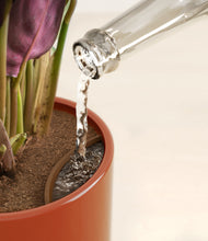 Load image into Gallery viewer, Glossy Red stand:all