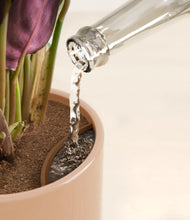 Load image into Gallery viewer, Glossy Pink stand:all