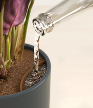 Load image into Gallery viewer, Iron Gray stand:all