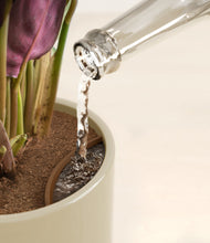 Load image into Gallery viewer, Sage Green stand:all