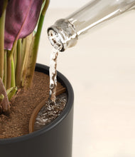 Load image into Gallery viewer, Stone Black stand:all