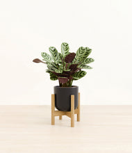 Load image into Gallery viewer, Stone Black stand:bamboo