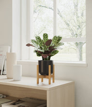 Load image into Gallery viewer, Stone Black stand:bamboo