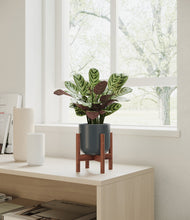 Load image into Gallery viewer, Iron Gray stand:walnut