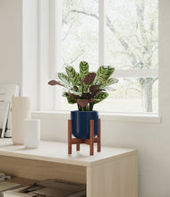 Load image into Gallery viewer, Twilight Blue stand:walnut