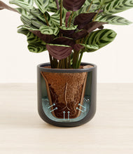 Load image into Gallery viewer, Stone Black stand:all