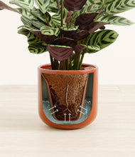 Load image into Gallery viewer, Glossy Red stand:all