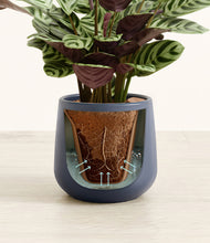 Load image into Gallery viewer, Deep Navy stand:all