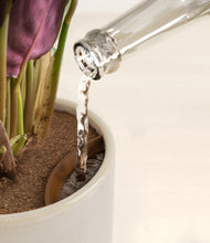 Load image into Gallery viewer, Snowdrift White stand:all