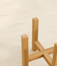 Load image into Gallery viewer, Light