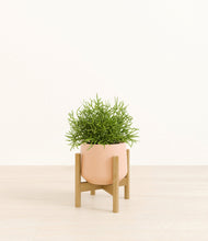 Lade das Bild in den Galerie-Viewer, Gentle Pink stand:bamboo